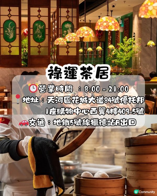 廣州新茶嫩茶聯繫方式去邊穩?本地老饕指路推介!