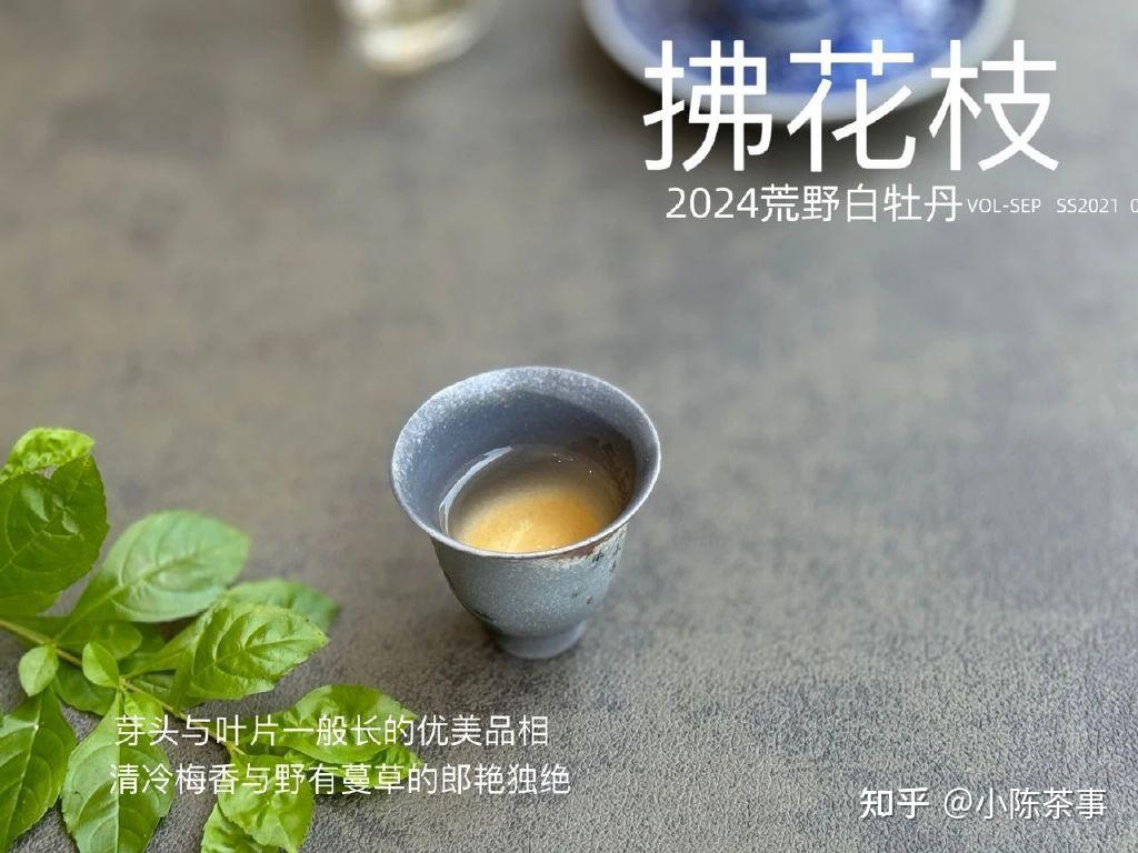 深圳品茶點樣揀?(老茶客教你避開常見誤區)